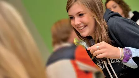 Offre lycée Offre lycée