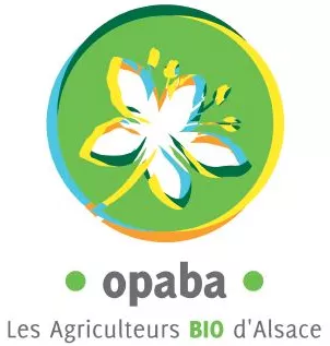 opaba opaba