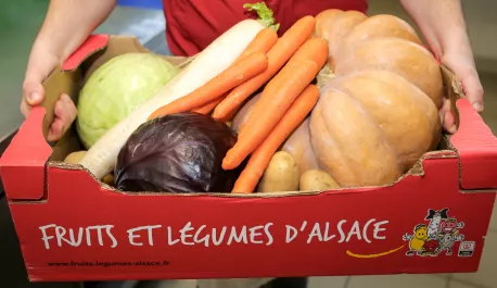 alsace alsace